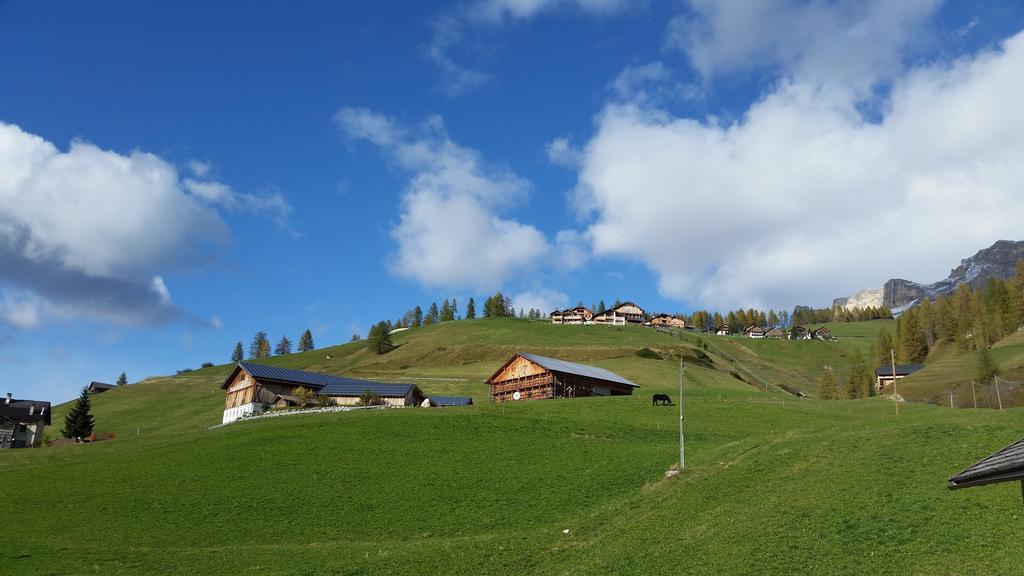 Family And Wellness Residence Ciasa Antersies San Cassiano  Exteriér fotografie